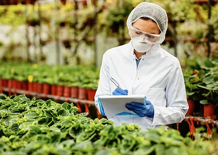 ISO 22000 2018