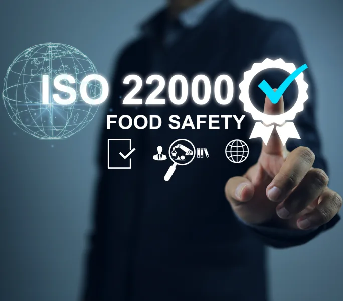 What is ISO 22000